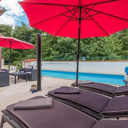 Vallis Aurea For Max 10 Persons With Pool Porec Villa *