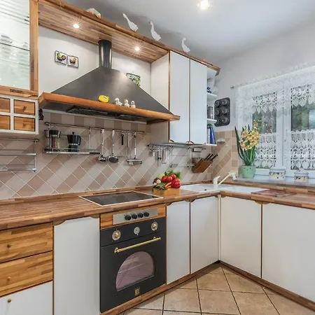 Vallis Aurea For Max 10 Persons With Pool Porec Kukci