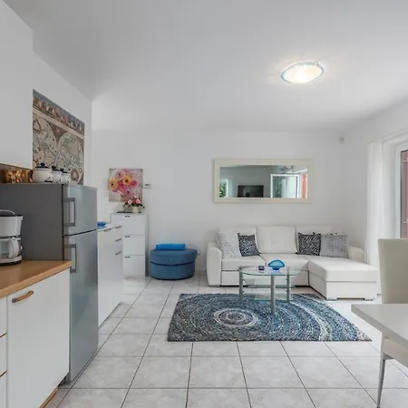 Vallis Aurea For Max 10 Persons With Pool Porec Villa *